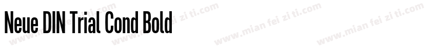 Neue DIN Trial Cond Bold字体转换